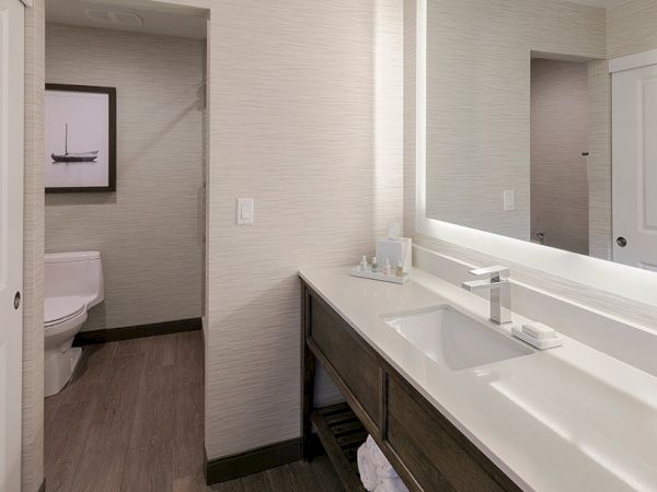 A modern bathroom with a double sink vanity, large mirror, and an adjoining toilet area visible in the background, all in neutral tones.