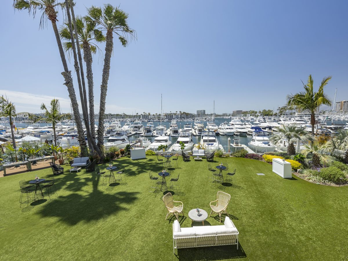 Sunny marina view with boats, palm trees, and lawn seating; umbrellas, tables, and a sea of yachts on the water, coastal leisure scene.